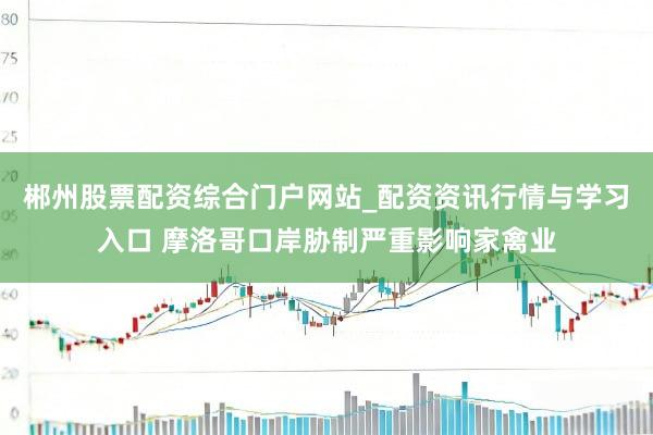 郴州股票配资综合门户网站_配资资讯行情与学习入口 摩洛哥口岸胁制严重影响家禽业