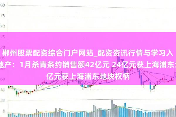 郴州股票配资综合门户网站_配资资讯行情与学习入口 越秀地产：1月杀青条约销售额42亿元 24亿元获上海浦东地块权柄