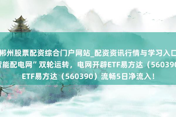 郴州股票配资综合门户网站_配资资讯行情与学习入口 “特高压骨干网+智能配电网”双轮运转，电网开辟ETF易方达（560390）流畅5日净流入！
