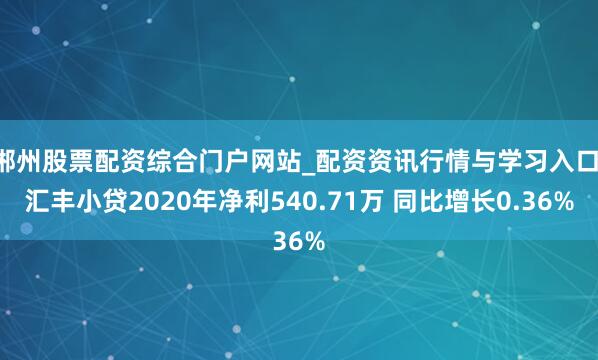 郴州股票配资综合门户网站_配资资讯行情与学习入口 汇丰小贷2020年净利540.71万 同比增长0.36%