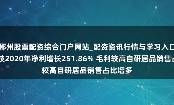 郴州股票配资综合门户网站_配资资讯行情与学习入口 森馥科技2020年净利增长251.86% 毛利较高自研居品销售占比增多