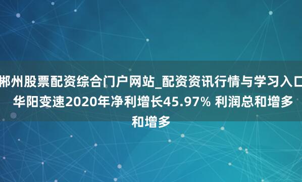 郴州股票配资综合门户网站_配资资讯行情与学习入口 华阳变速2020年净利增长45.97% 利润总和增多
