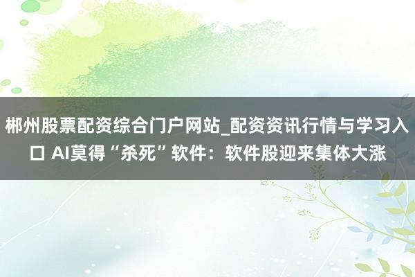 郴州股票配资综合门户网站_配资资讯行情与学习入口 AI莫得“杀死”软件：软件股迎来集体大涨